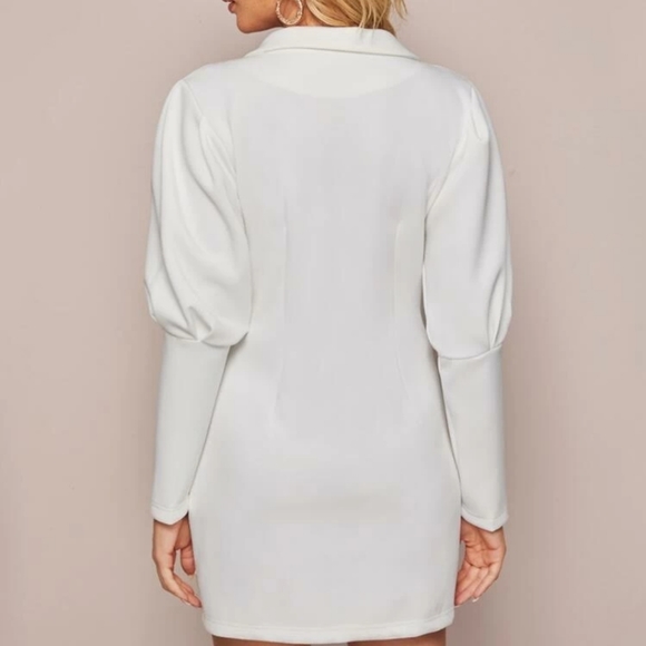 🆕BUTTON FRONT LEG OF MUTTON SLEEVE DRESSING - Picture 5 of 6